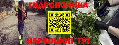 гашишное масло Моздок